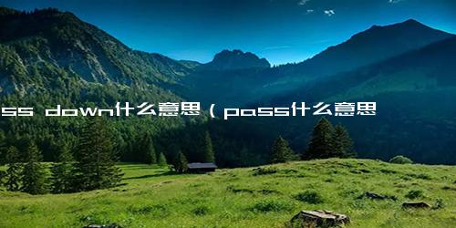 pass down什么意思（pass什么意思）